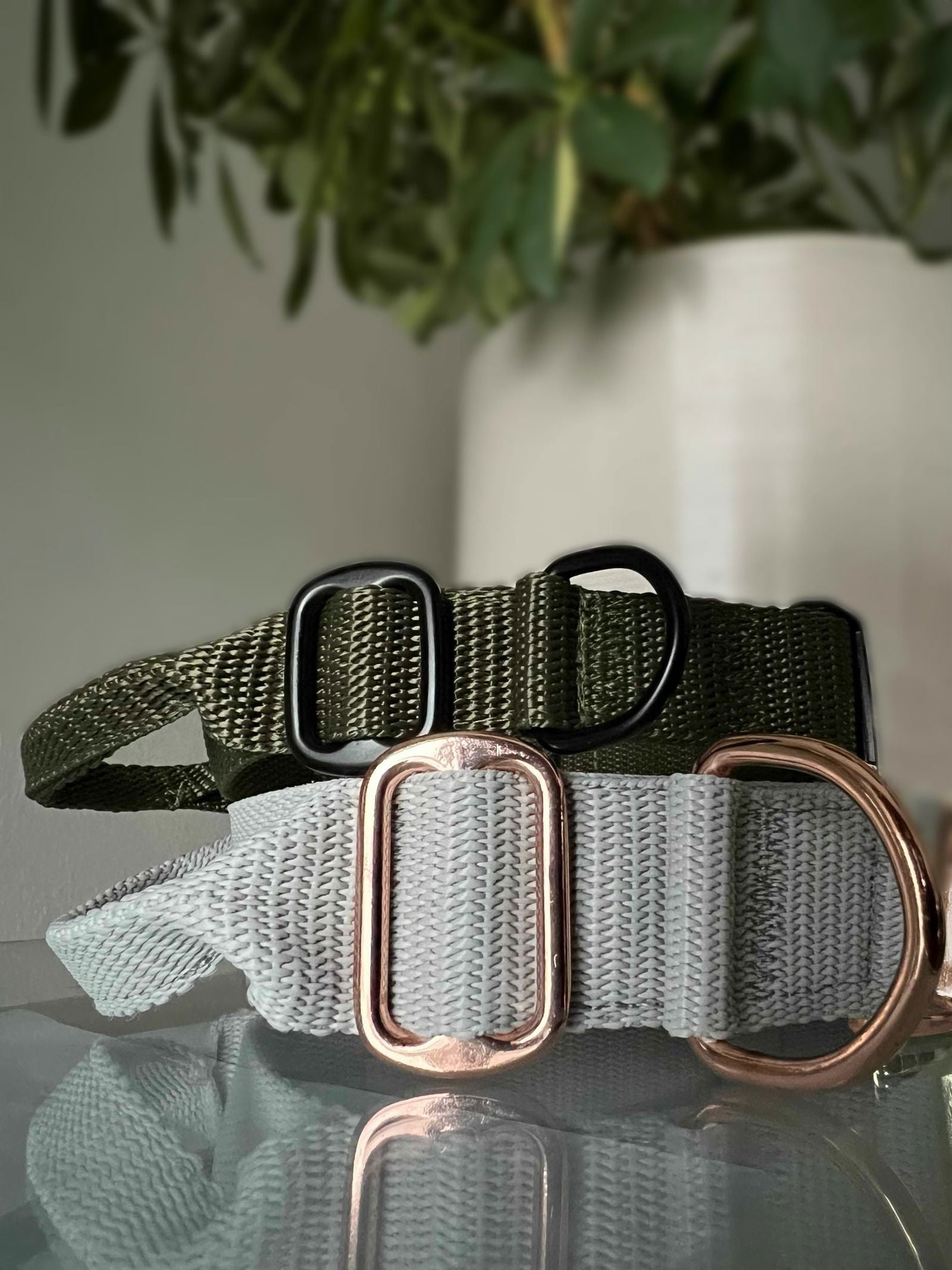 Flexi leine Halsbänder - Hundeleine Schleppleine Halsband Hundegeschirr