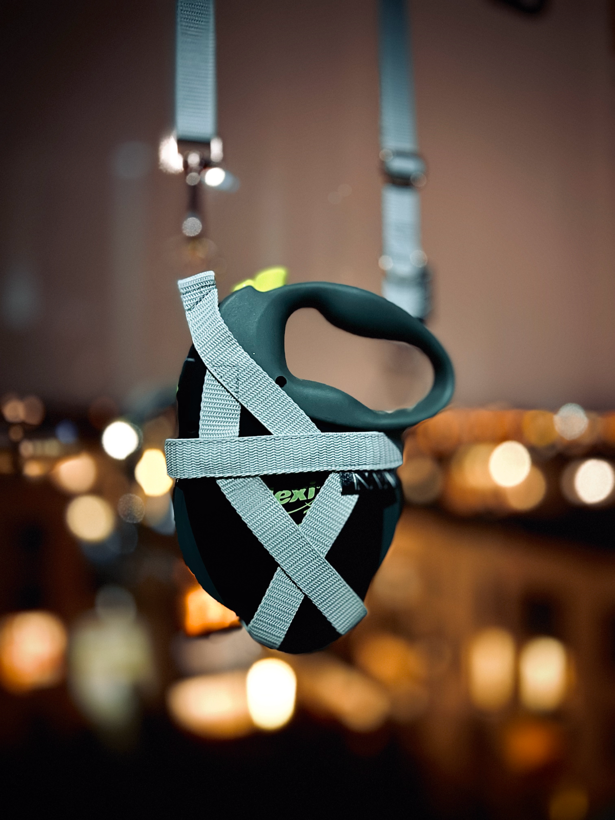 Halfter für professional Giant