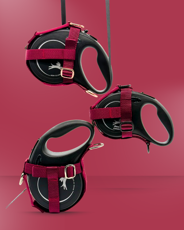 Bordeaux Halfter für Flexi-Rollleinen – kompatibel mit Flexi New Classic S, M und L. Ideal für sicheres, freihändiges Gassigehen mit kleinen und mittelgroßen und großen Hunden. Hochwertiges Hundeleinen-Zubehör aus robustem Nylon mit Metallringen – einfach zu befestigen, perfekt für Spaziergänge, Training und Outdoor. pawINAYA® Original.