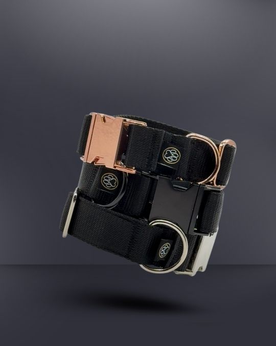 Taktisches Halsband | 3cm |