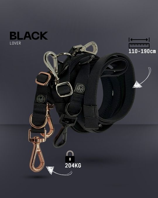 3-in-1 Dog Leash (Set Item!) - DO NOT REMOVE -