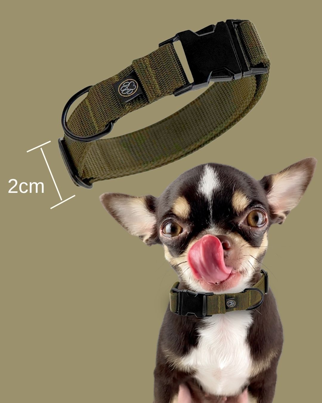 Halsband für kleine Hunde