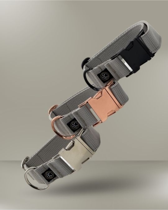 Taktisches Halsband | 3cm |
