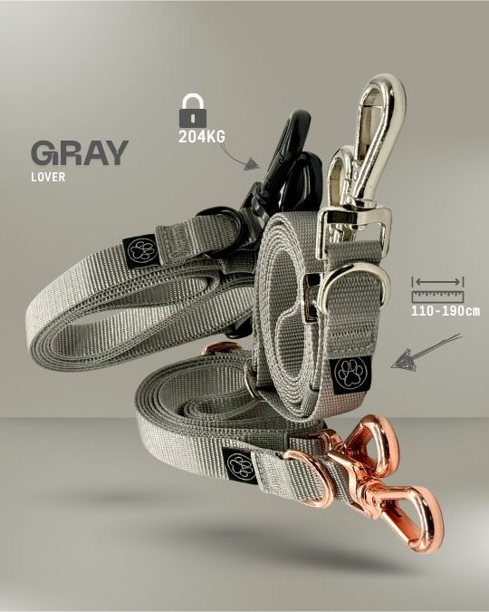 3-in-1 Dog Leash (Set Item!) - DO NOT REMOVE -