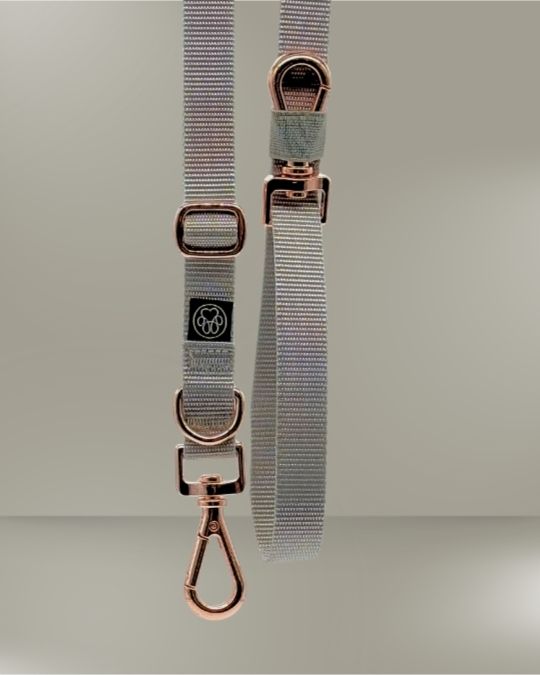 3-in-1 Dog Leash (Set Item!) - DO NOT REMOVE -