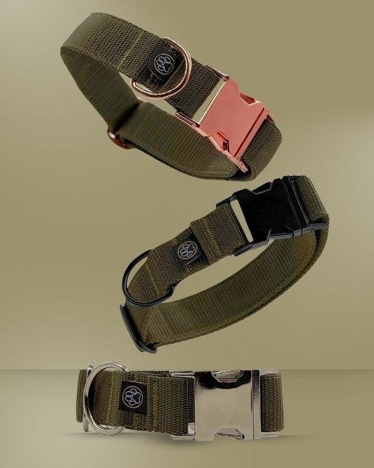 Taktisches Halsband | 3cm |