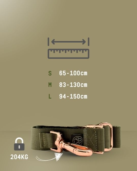 Premium Gassi Gürtel