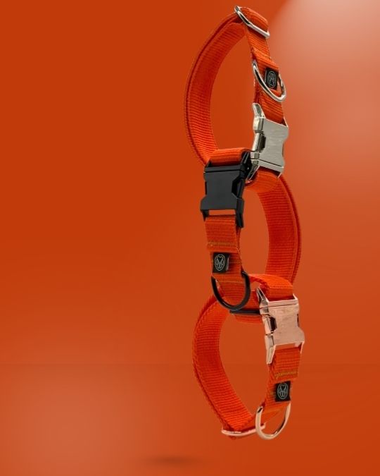 Taktisches Halsband | 3cm |