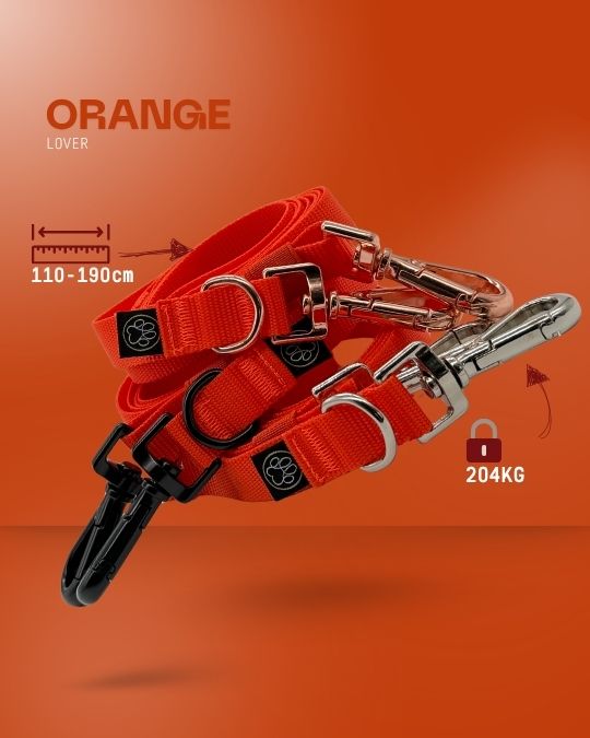 3-in-1 Dog Leash (Set Item!) - DO NOT REMOVE -