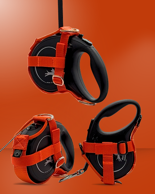 orange Halfter für Flexi-Rollleinen – kompatibel mit Flexi New Classic XS, S, M und L. Ideal für sicheres, freihändiges Gassigehen mit kleinen und mittelgroßen und großen Hunden. Hochwertiges Hundeleinen-Zubehör aus robustem Nylon mit Metallringen – einfach zu befestigen, perfekt für Spaziergänge, Training und Outdoor. pawINAYA® Original.