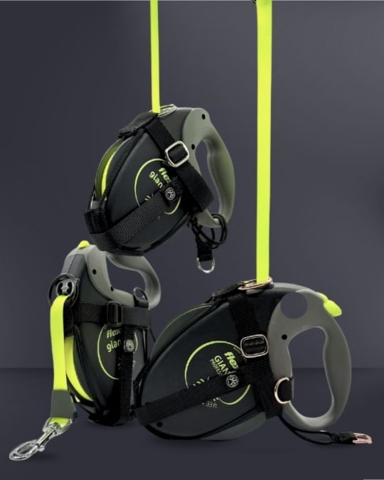 Set inkl. Flexi Classic 5m