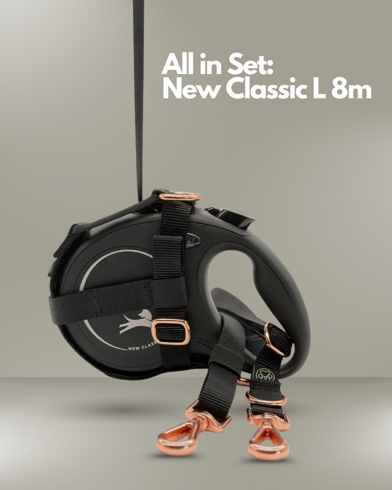 Set it up | Flexi Classic L 8m