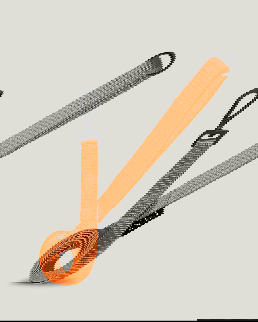Flexi leine pawINAYA® Die Leichte Hundeleine - Hundeleine Schleppleine Halsband Hundegeschirr