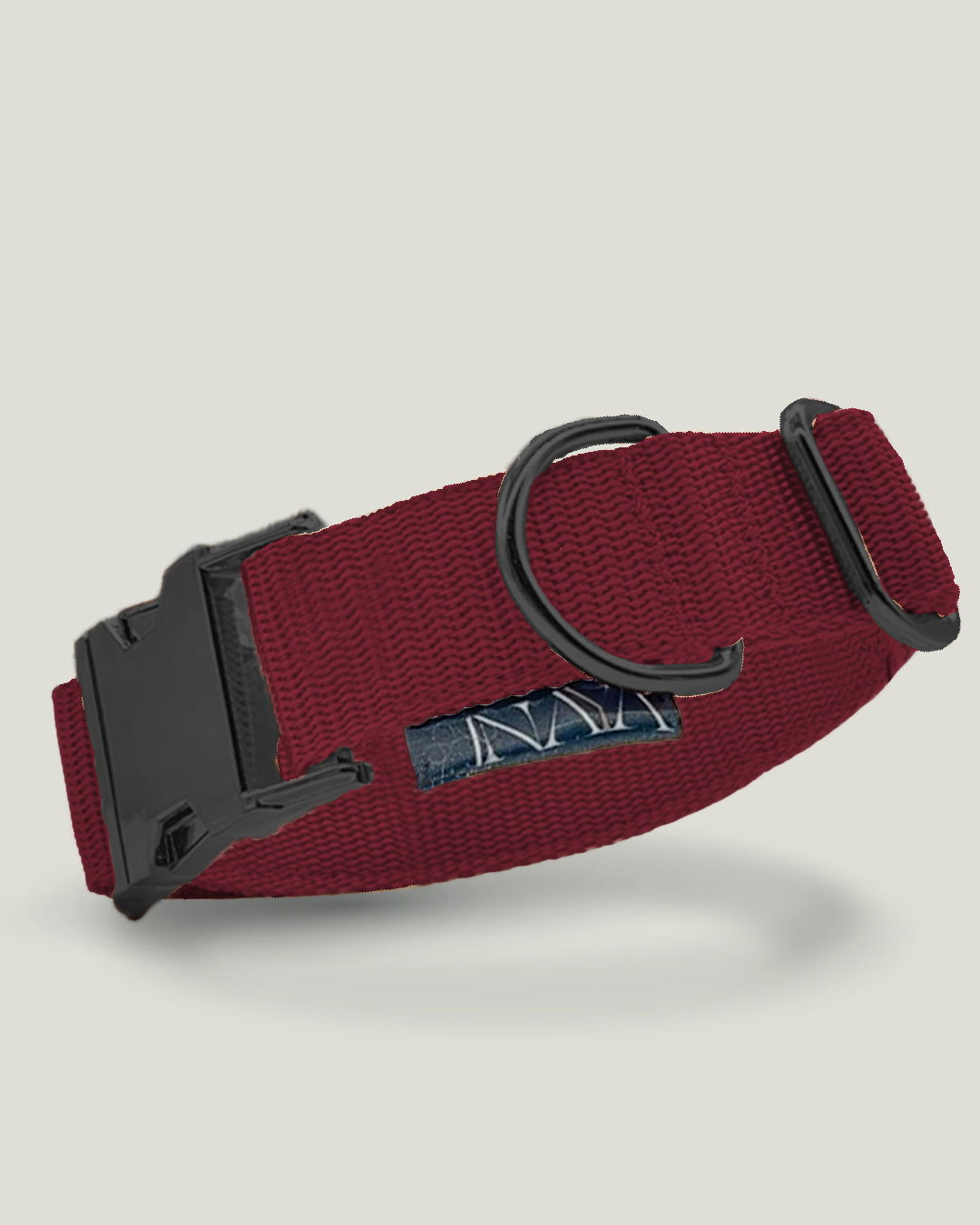 Flexi leine pawINAYA® Halsband inkl. Leine - Hundeleine Schleppleine Halsband Hundegeschirr
