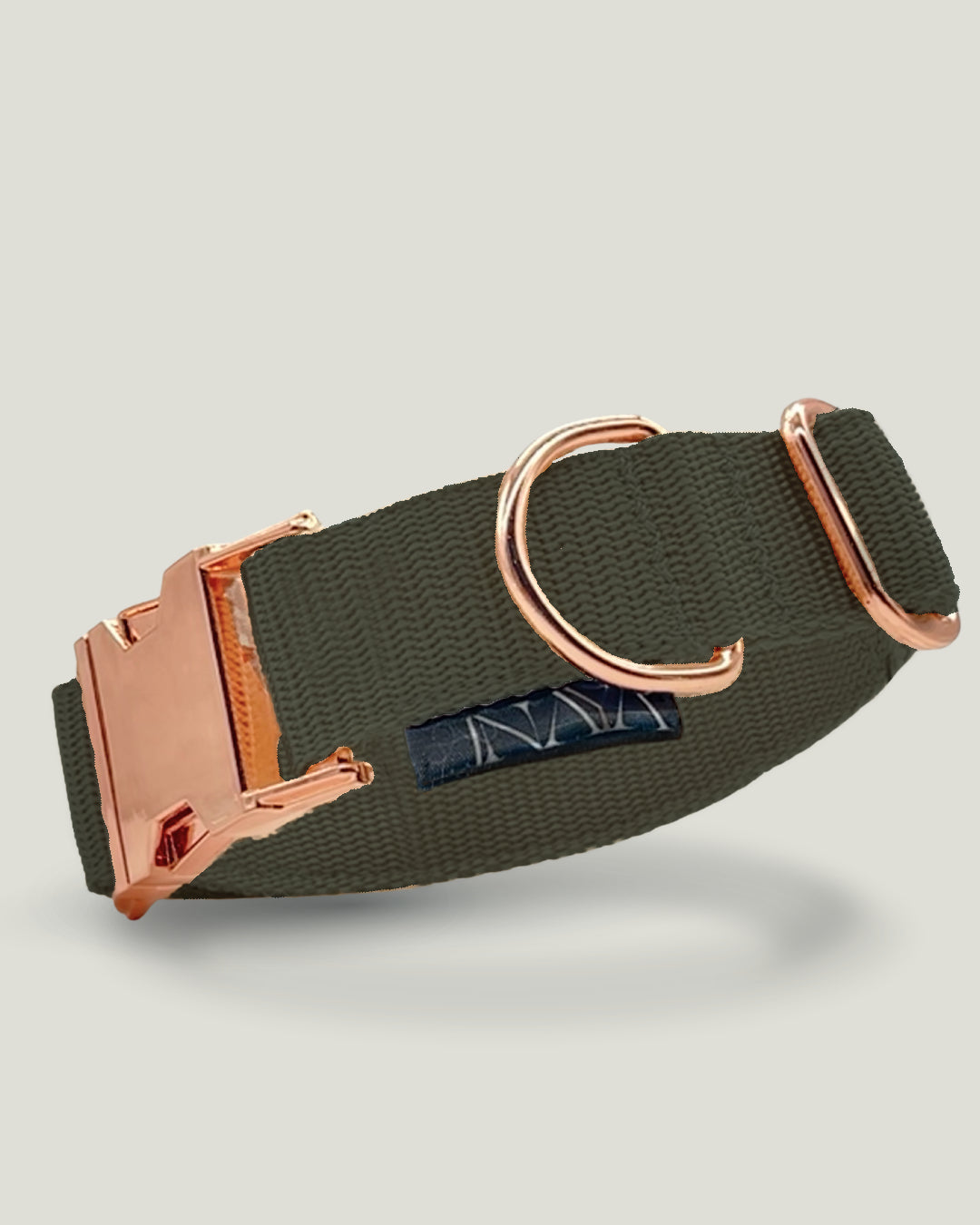 Flexi leine pawINAYA® Halsband inkl. Leine - Hundeleine Schleppleine Halsband Hundegeschirr