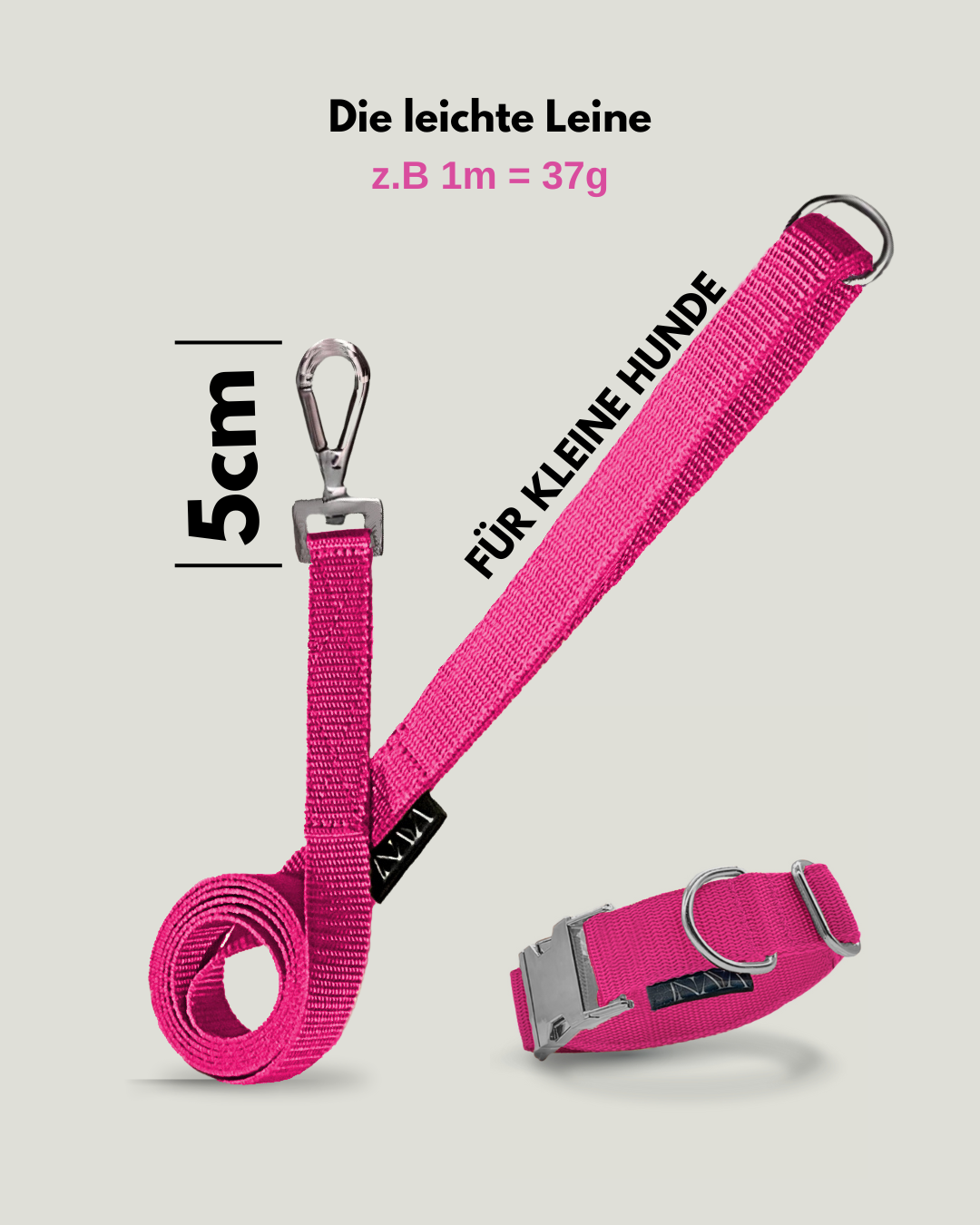Flexi leine pawINAYA® Halsband inkl. Leine - für kleine Hunde - Hundeleine Schleppleine Halsband Hundegeschirr