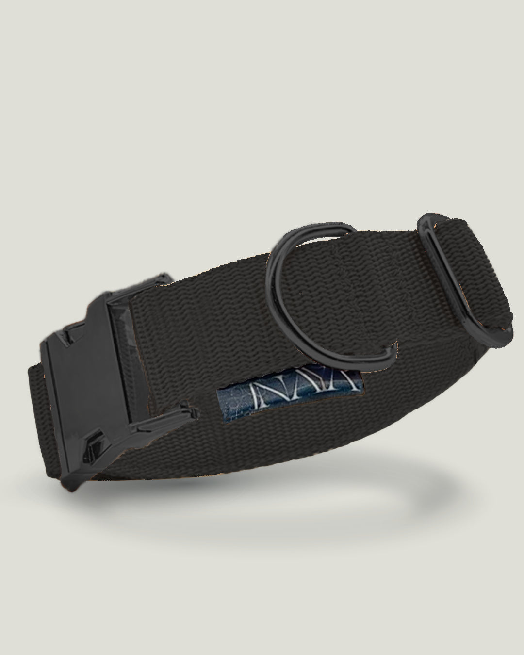 Flexi leine pawINAYA® Halsband inkl. Leine - für kleine Hunde - Hundeleine Schleppleine Halsband Hundegeschirr