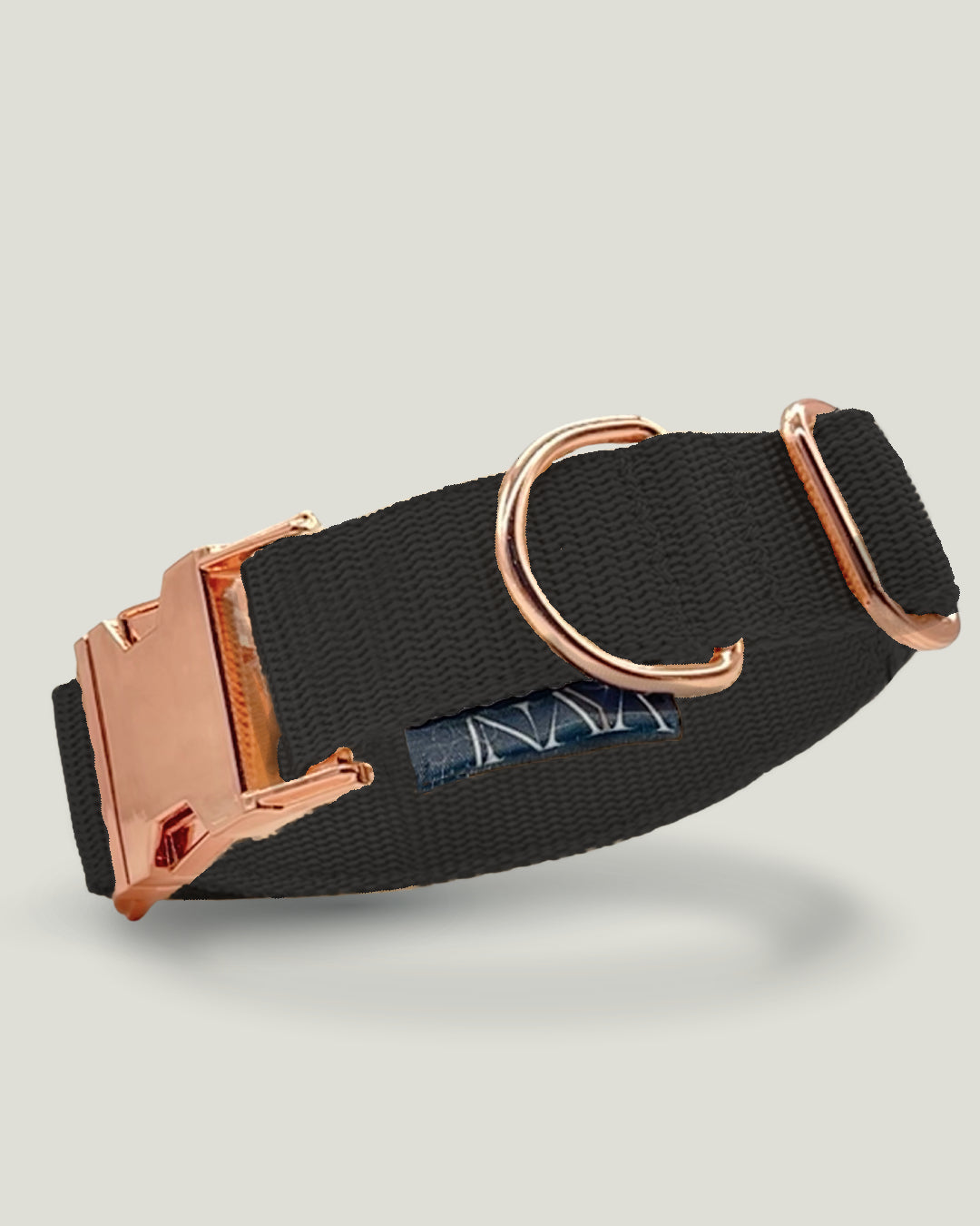 Flexi leine pawINAYA® Halsband inkl. Leine - für kleine Hunde - Hundeleine Schleppleine Halsband Hundegeschirr