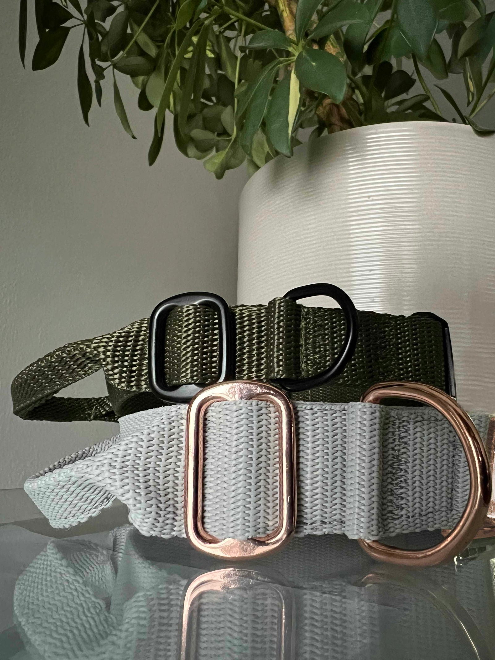 Flexi leine pawINAYA® Halsband mit Griff - 3cm BREIT - - Hundeleine Schleppleine Halsband Hundegeschirr