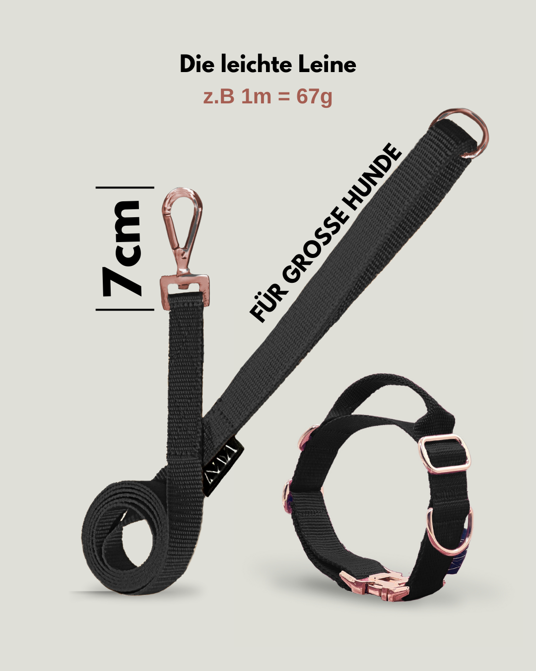 Flexi leine pawINAYA® Halsband mit Griff inkl. Leine - Hundeleine Schleppleine Halsband Hundegeschirr