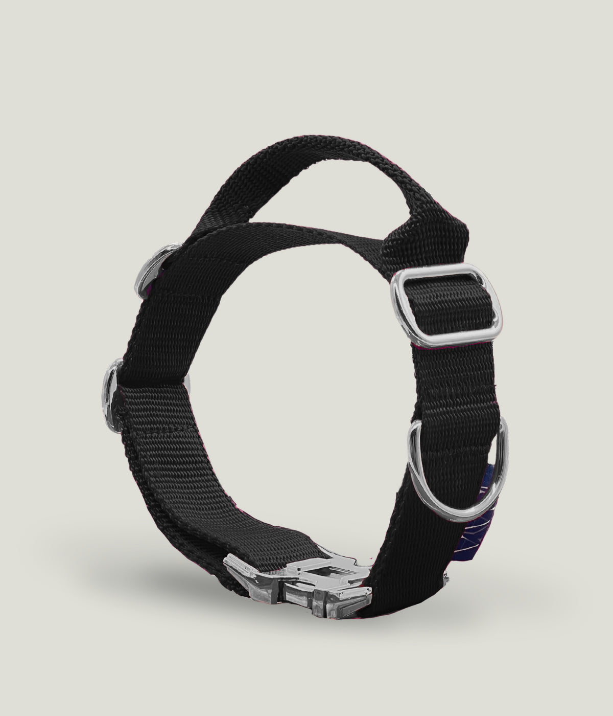 Flexi leine pawINAYA® Halsband mit Griff inkl. Leine - Hundeleine Schleppleine Halsband Hundegeschirr