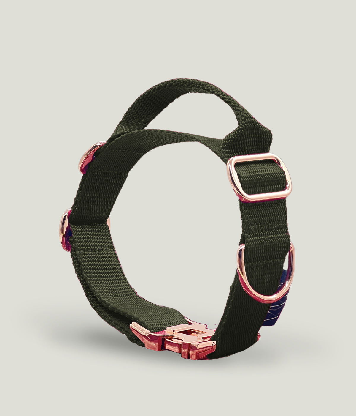 Flexi leine pawINAYA® Halsband mit Griff inkl. Leine - Hundeleine Schleppleine Halsband Hundegeschirr