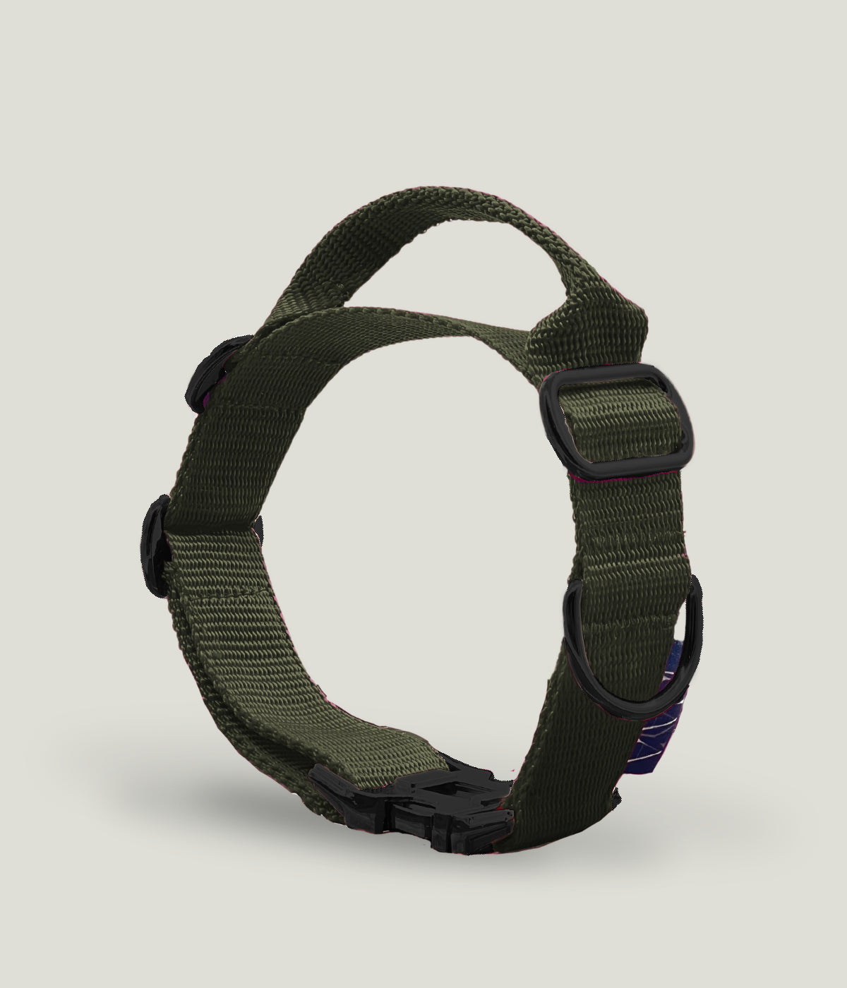 Flexi leine pawINAYA® Halsband mit Griff inkl. Leine - Hundeleine Schleppleine Halsband Hundegeschirr