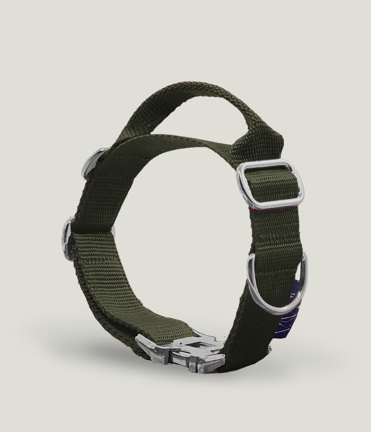 Flexi leine pawINAYA® Halsband mit Griff inkl. Leine - Hundeleine Schleppleine Halsband Hundegeschirr