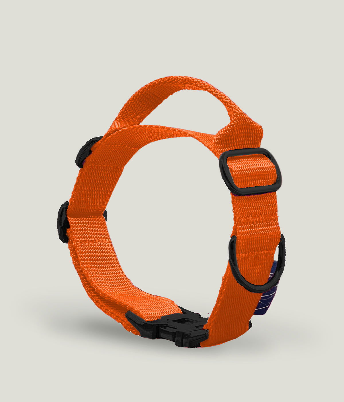 Flexi leine pawINAYA® Halsband mit Griff inkl. Leine - Hundeleine Schleppleine Halsband Hundegeschirr