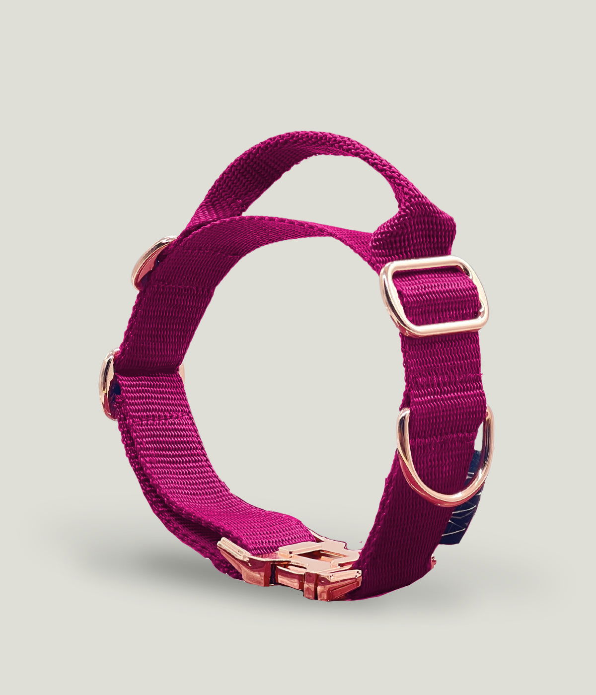 Flexi leine pawINAYA® Halsband mit Griff inkl. Leine - Hundeleine Schleppleine Halsband Hundegeschirr