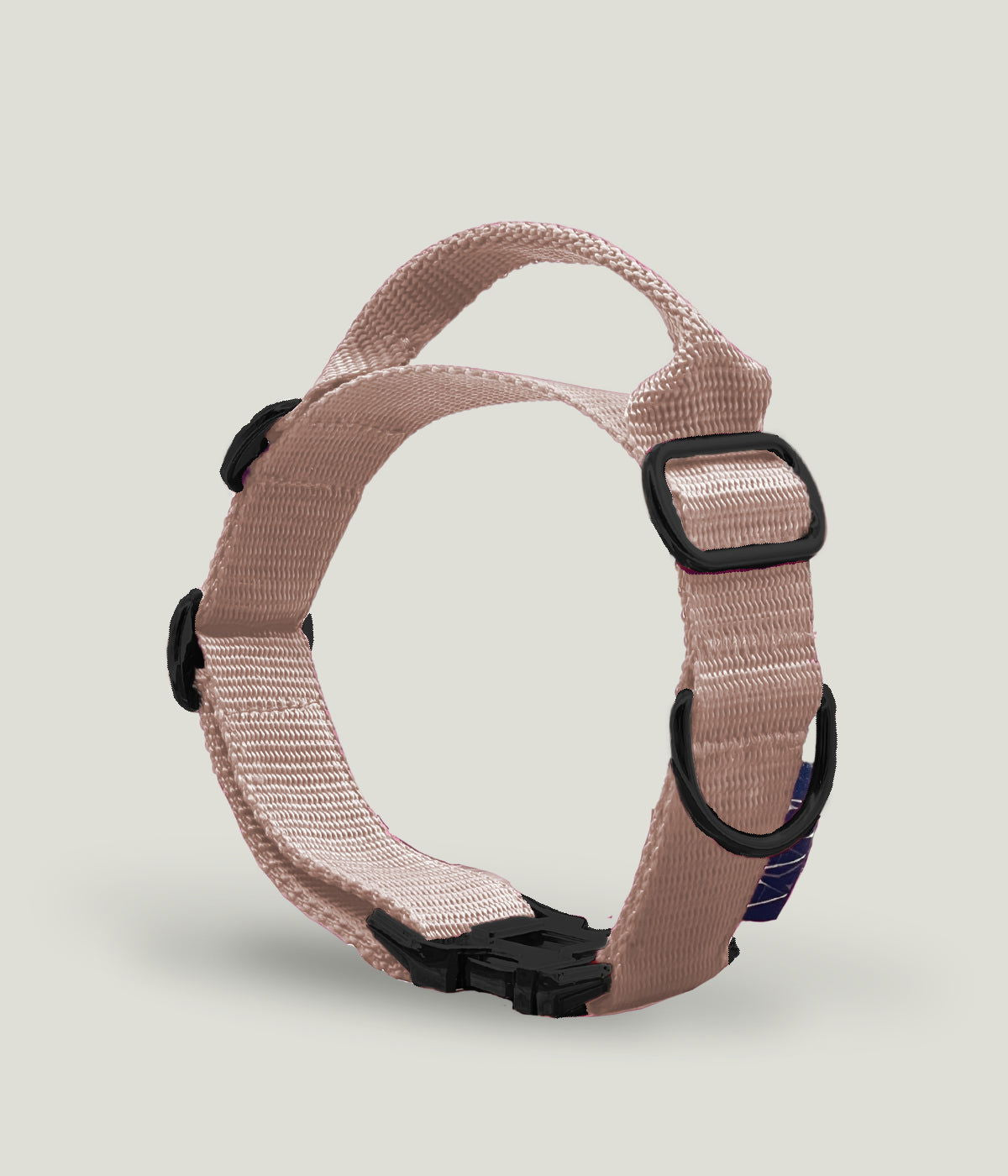 Flexi leine pawINAYA® Halsband mit Griff inkl. Leine - Hundeleine Schleppleine Halsband Hundegeschirr