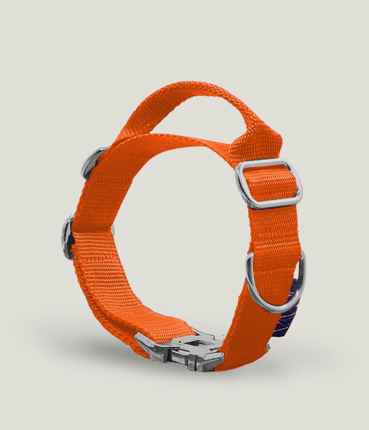 Flexi leine pawINAYA® Halsband mit Griff inkl. Leine - Hundeleine Schleppleine Halsband Hundegeschirr