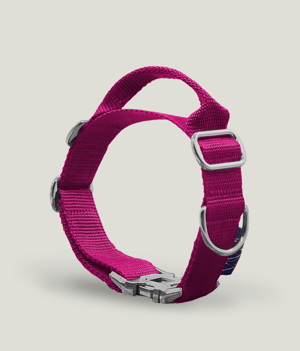 Flexi leine pawINAYA® Halsband mit Griff inkl. Leine - Hundeleine Schleppleine Halsband Hundegeschirr