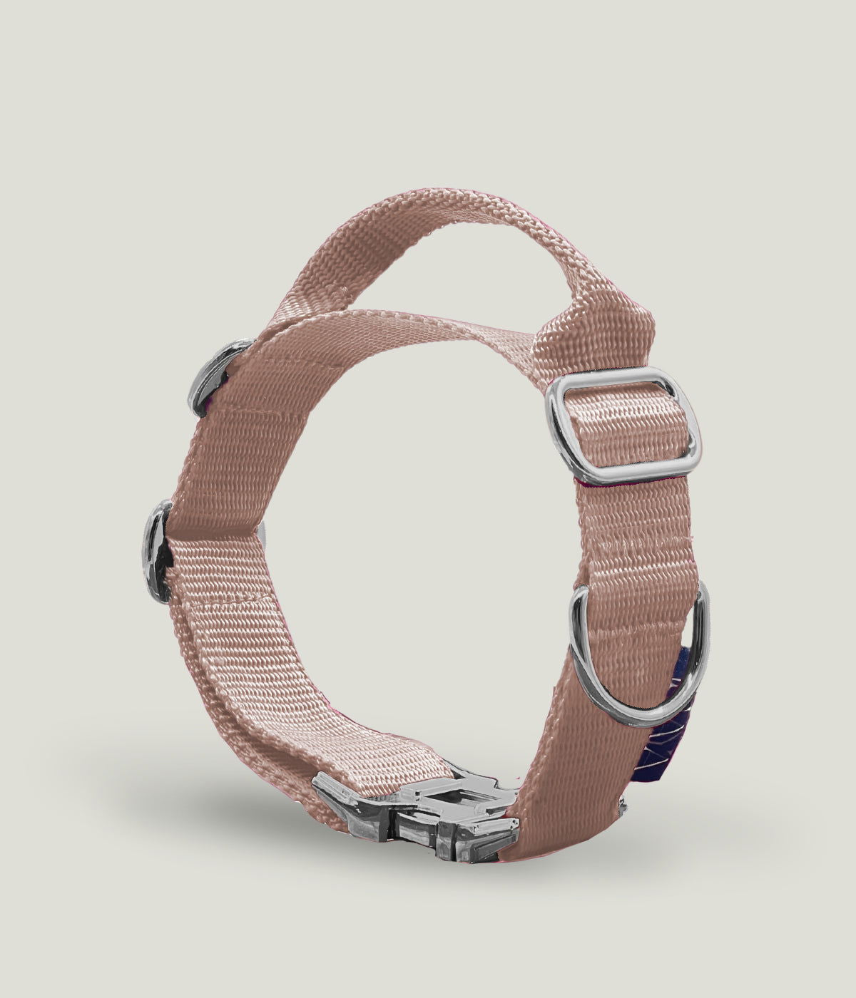 Flexi leine pawINAYA® Halsband mit Griff inkl. Leine - Hundeleine Schleppleine Halsband Hundegeschirr