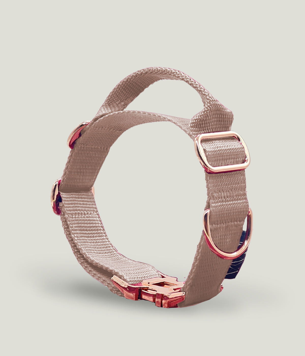 Flexi leine pawINAYA® Halsband mit Griff inkl. Leine - Hundeleine Schleppleine Halsband Hundegeschirr