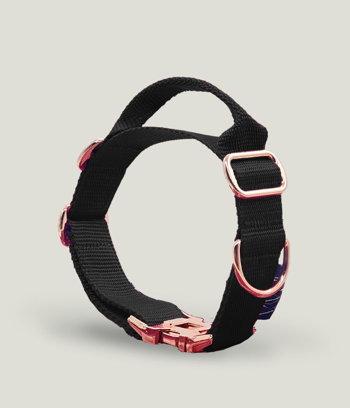 Flexi leine pawINAYA® Halsband mit Griff inkl. Leine - Hundeleine Schleppleine Halsband Hundegeschirr