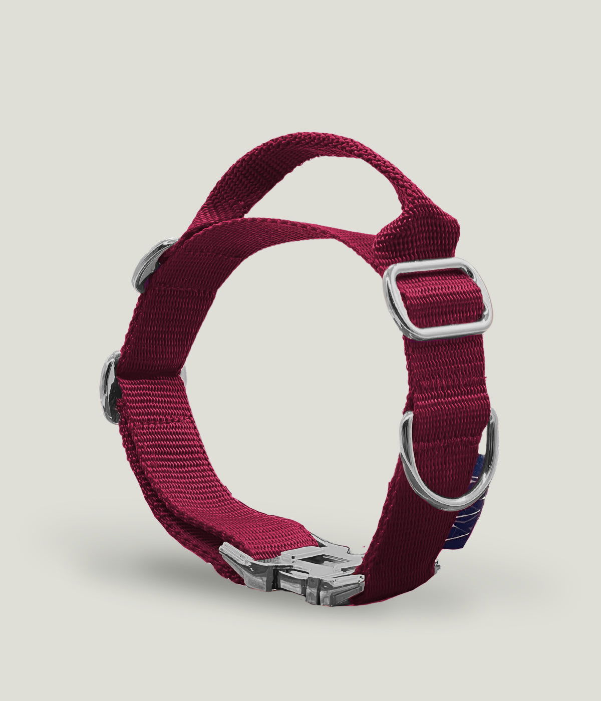 Flexi leine pawINAYA® Halsband mit Griff inkl. Leine - Hundeleine Schleppleine Halsband Hundegeschirr