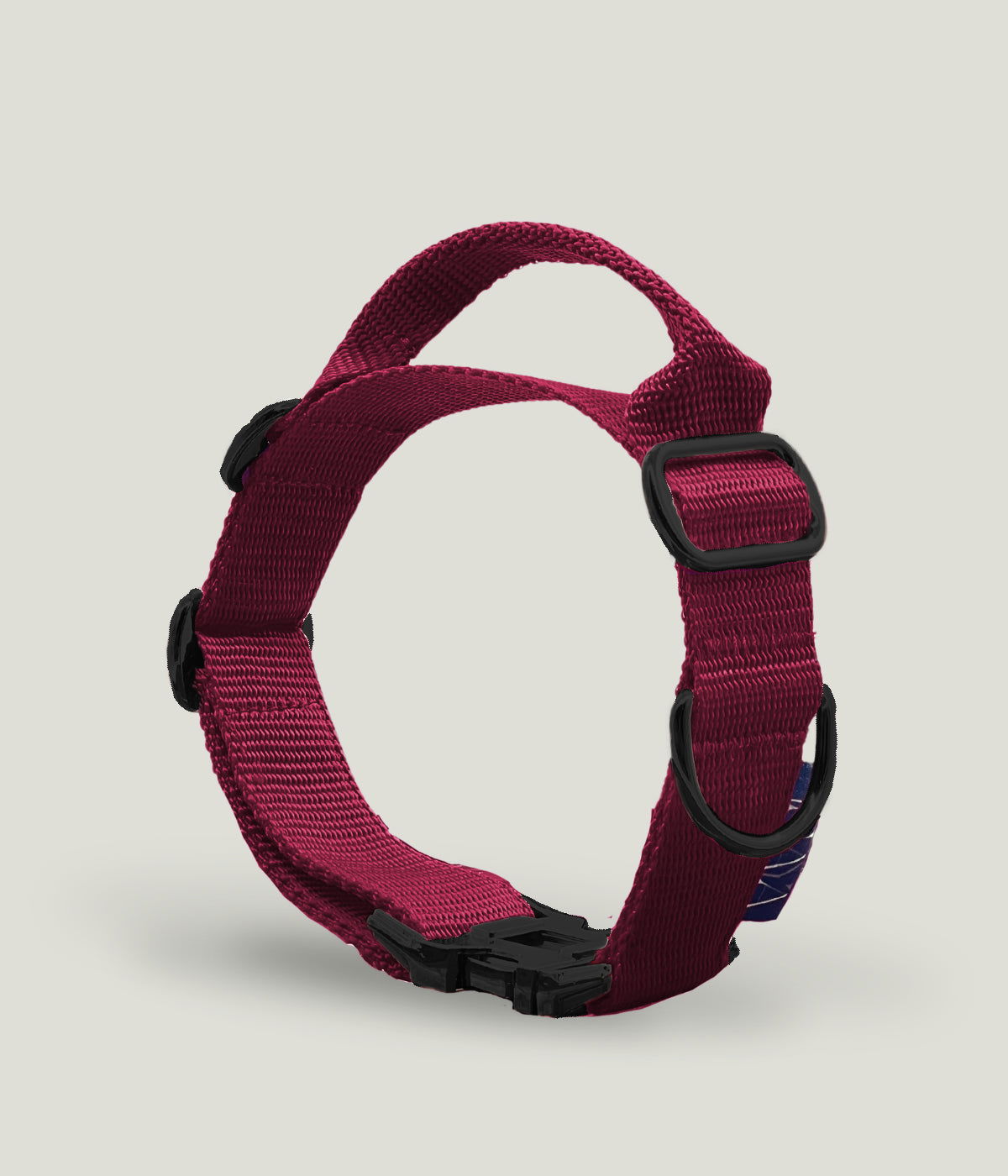 Flexi leine pawINAYA® Halsband mit Griff inkl. Leine - Hundeleine Schleppleine Halsband Hundegeschirr