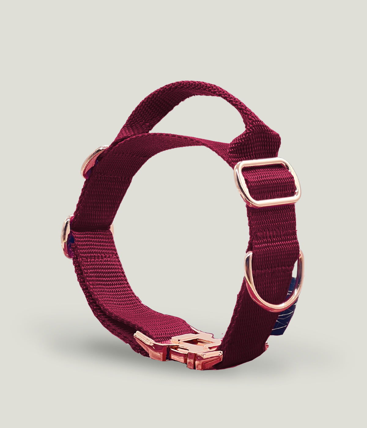 Flexi leine pawINAYA® Halsband mit Griff inkl. Leine - Hundeleine Schleppleine Halsband Hundegeschirr