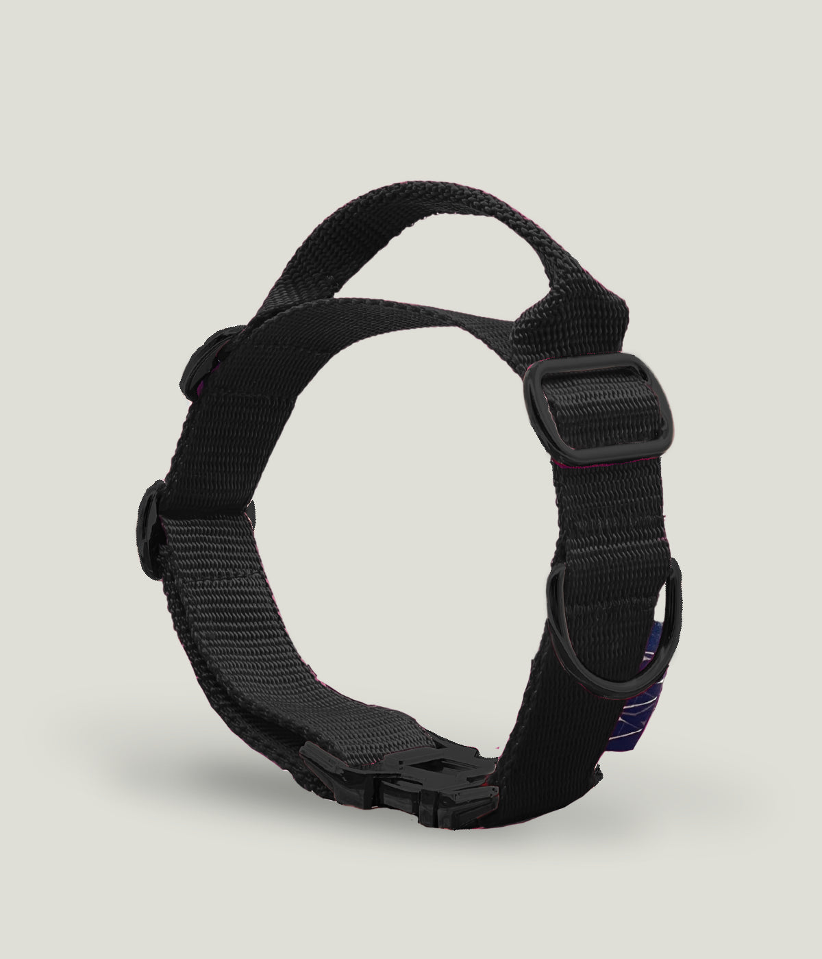 Flexi leine pawINAYA® Halsband mit Griff inkl. Leine - Hundeleine Schleppleine Halsband Hundegeschirr