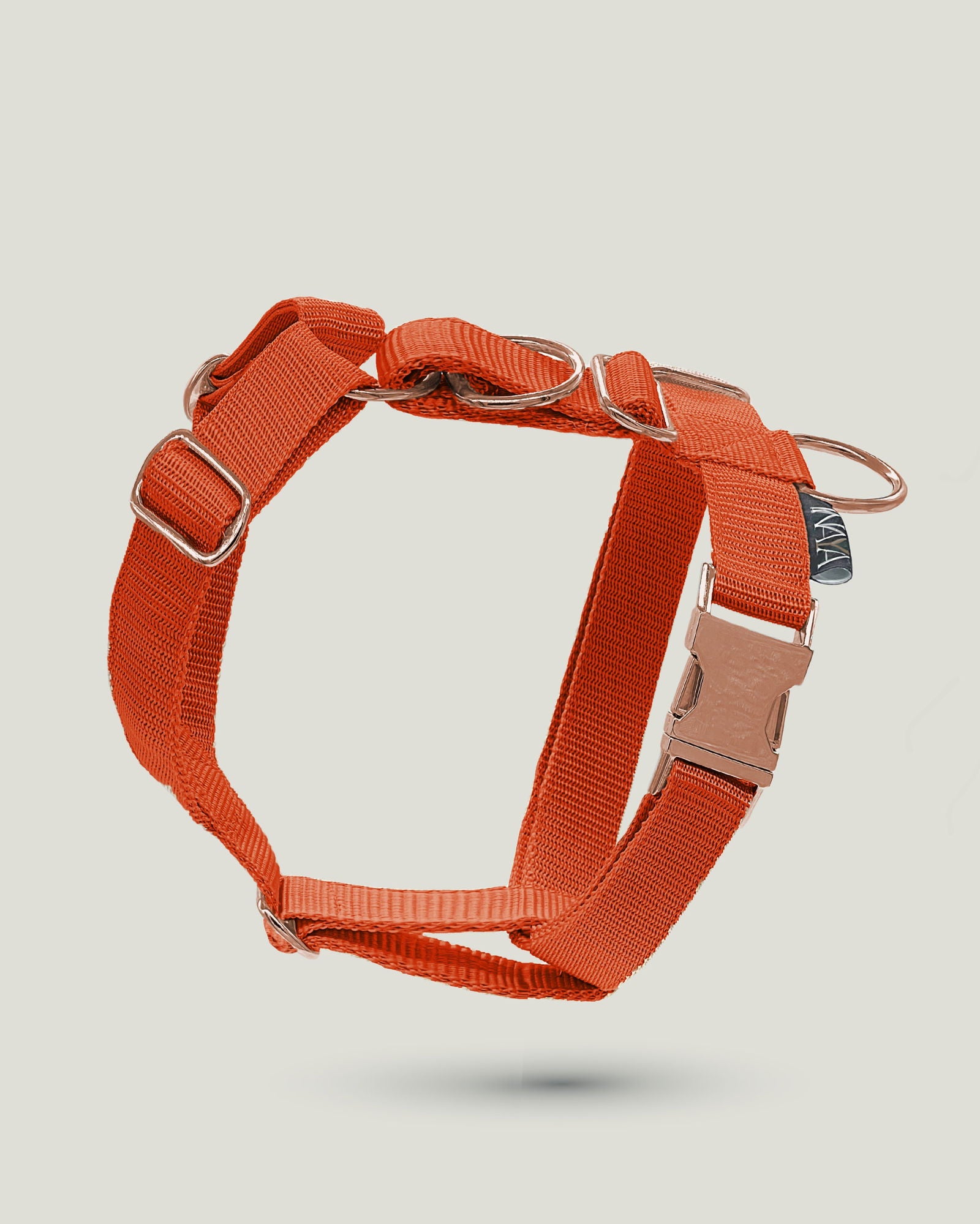 Flexi leine pawINAYA® Hunde Geschirr - 3cm - - Hundeleine Schleppleine Halsband Hundegeschirr