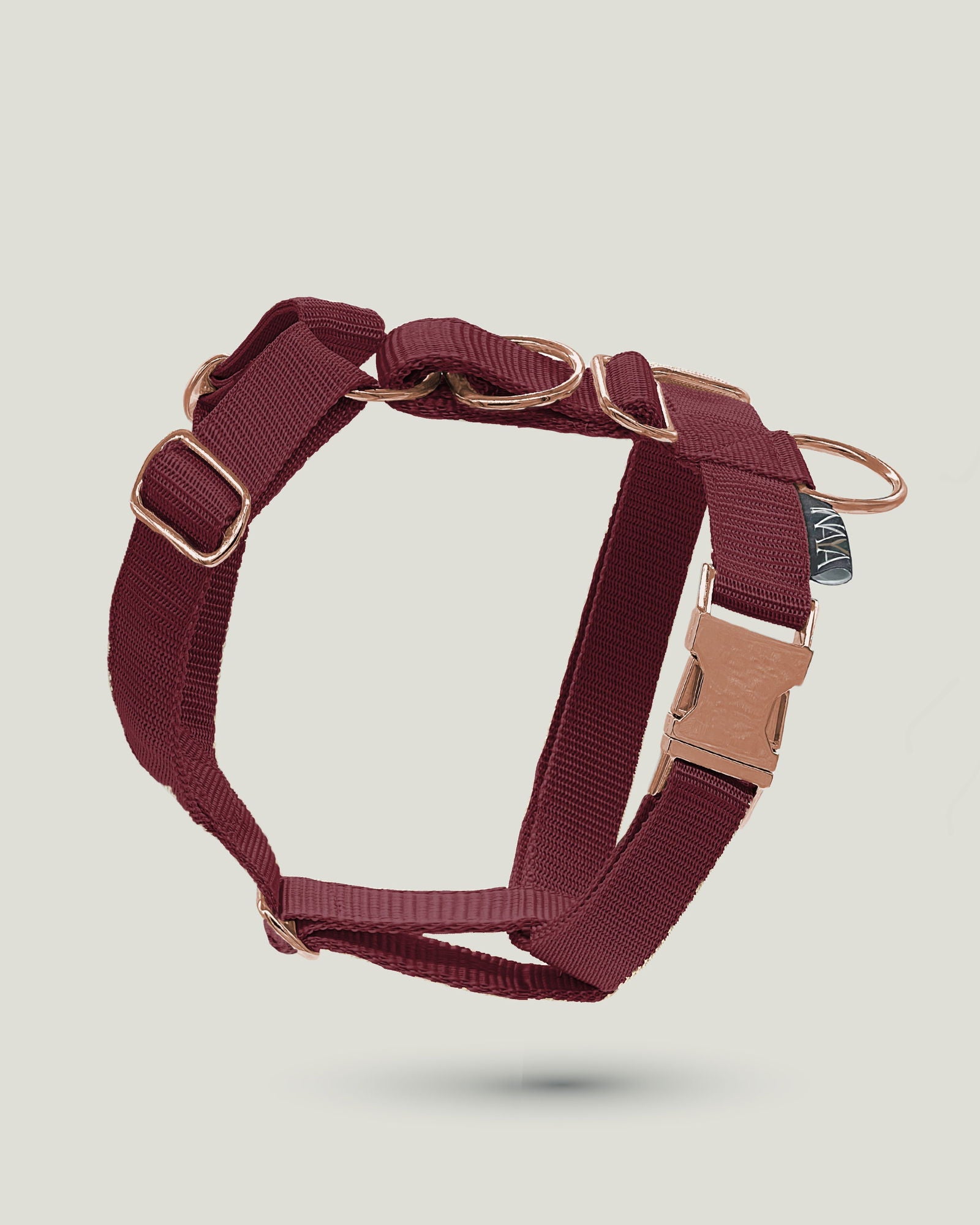 Flexi leine pawINAYA® Hunde Geschirr - 3cm - - Hundeleine Schleppleine Halsband Hundegeschirr