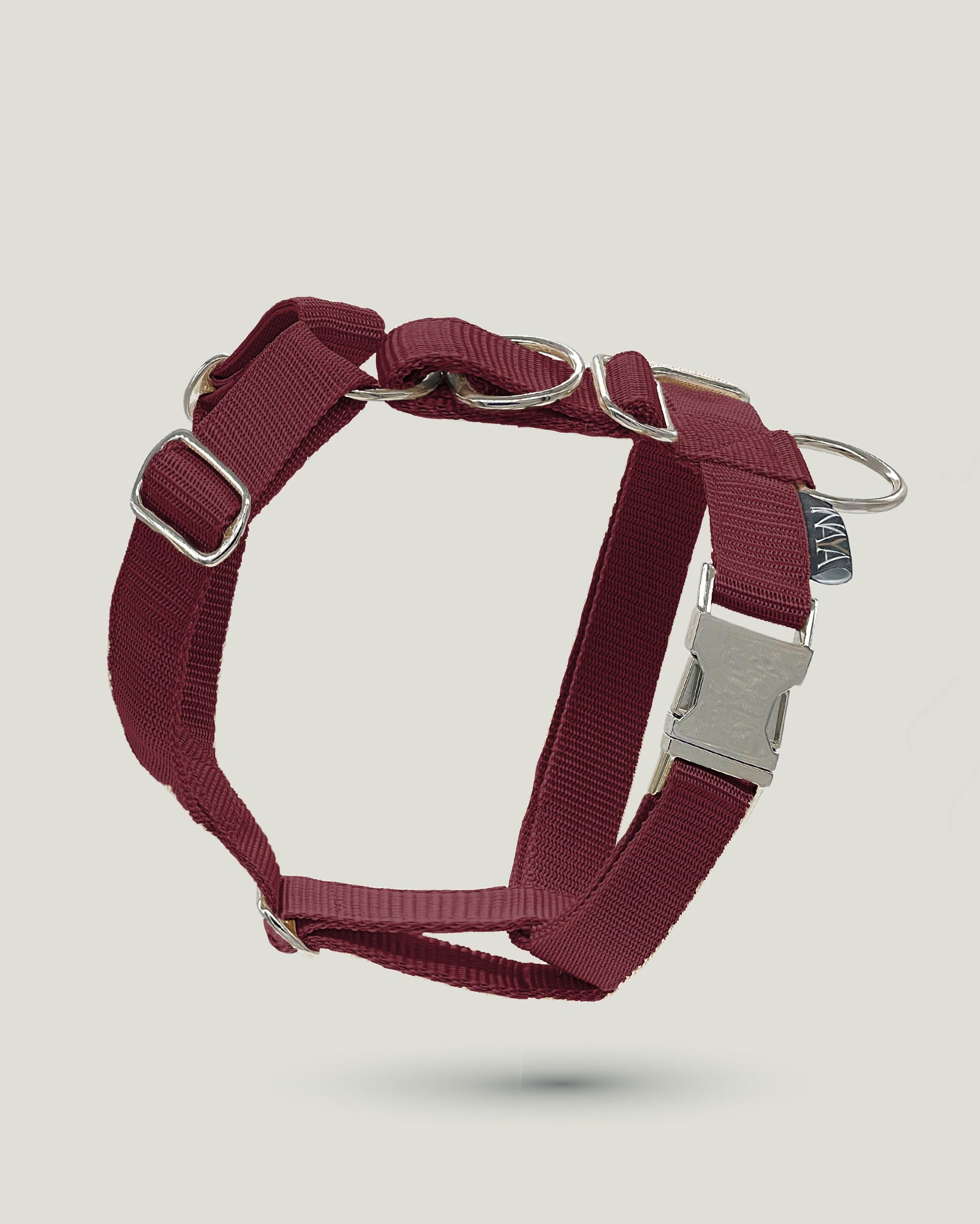 Flexi leine pawINAYA® Hunde Geschirr - 3cm - - Hundeleine Schleppleine Halsband Hundegeschirr