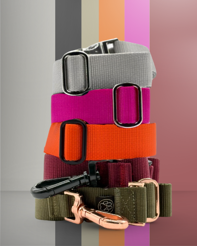 Hundeleinen Gürtel für flexi für einen und mehrere Hunde Handfree Hunde Leine