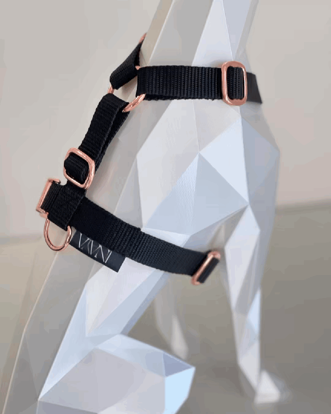 pawINAYA® 5- zones dog harness