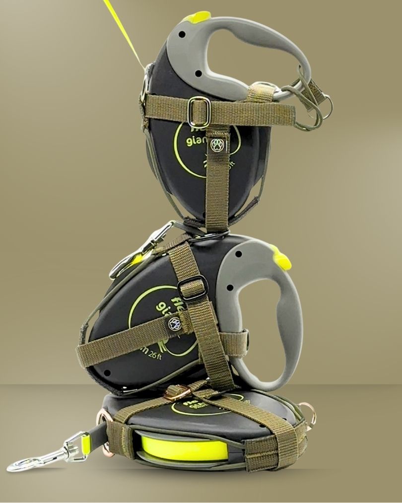 Halfter ONE | for all flexi | incl. 3-in-1 dogleash