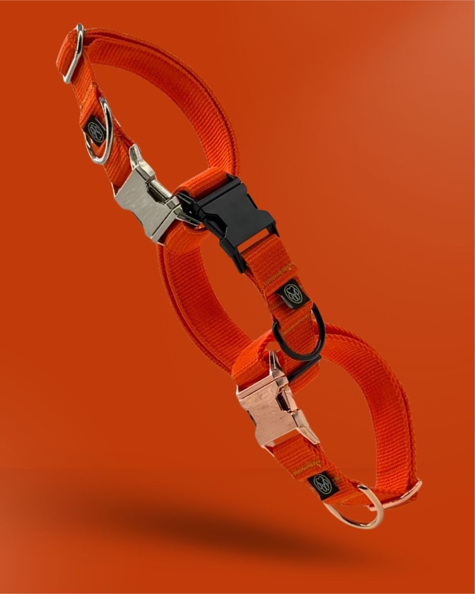Halsband | 3cm |