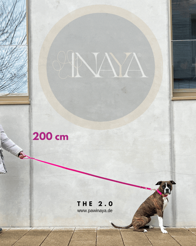 Leichte, stufenlos verstellbare Hundeleine von pawINAYA® – Modell „The 2.0“ aus robustem Nylon, verstellbar von 1,20 m bis 2 m Länge. Ideal für Alltag, Training und Spaziergänge. Hochwertige Verarbeitung mit Metallschließe, kombinierbar mit Umhängegurt oder Gürtel. Funktionales, minimalistisches Design für aktive Hundehalter.