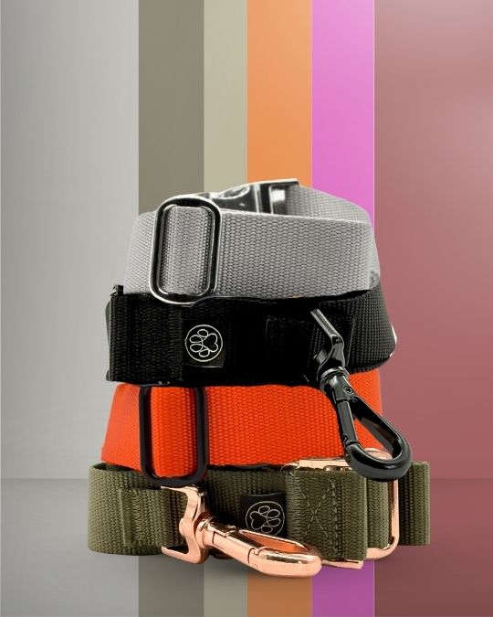 pawINAYA® Premium Belt