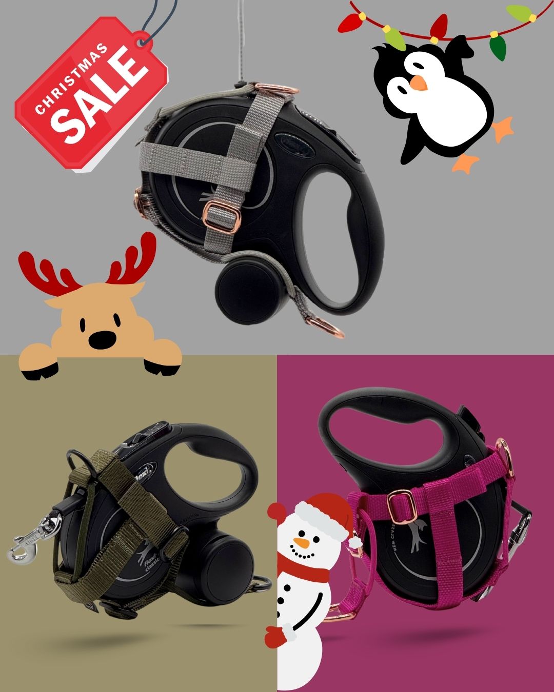 Licol PawINAYA® - pour Flexi avec MULTIBOX